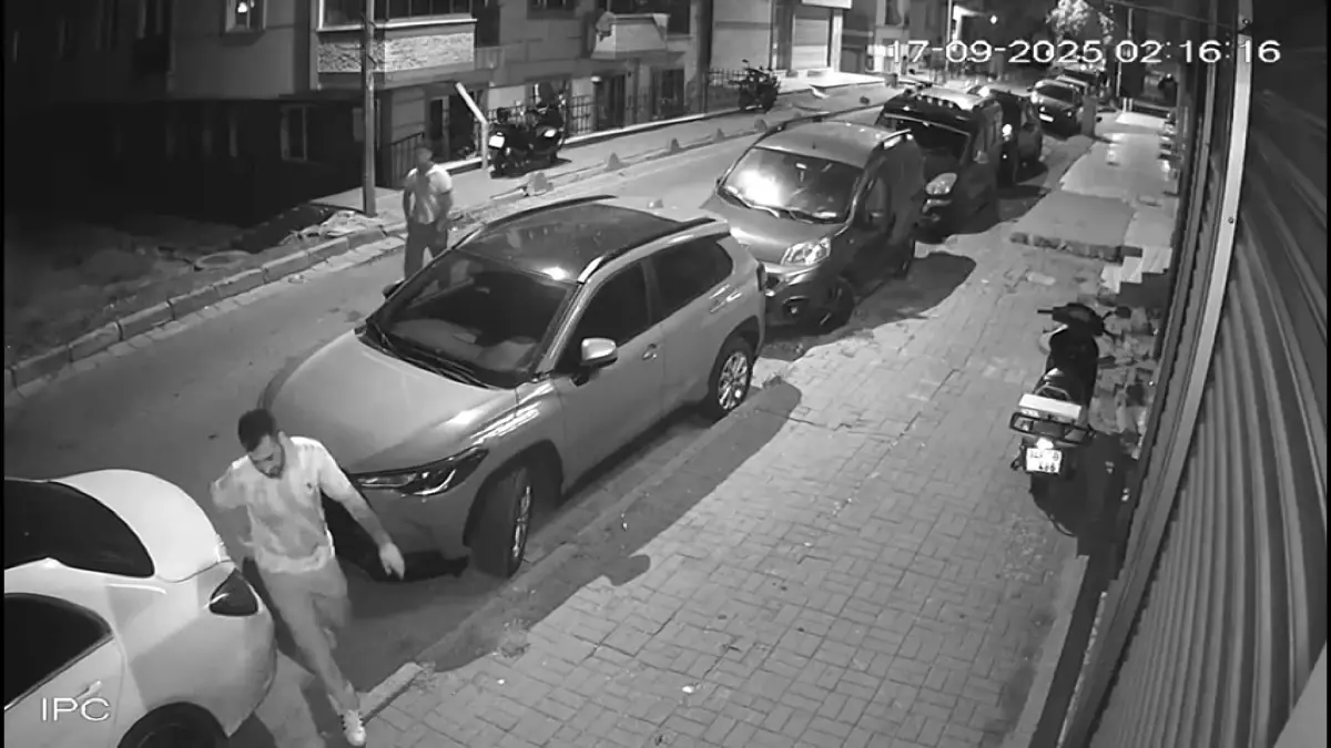 avcilarda arac lastiklerine saldiri zusFdm7q