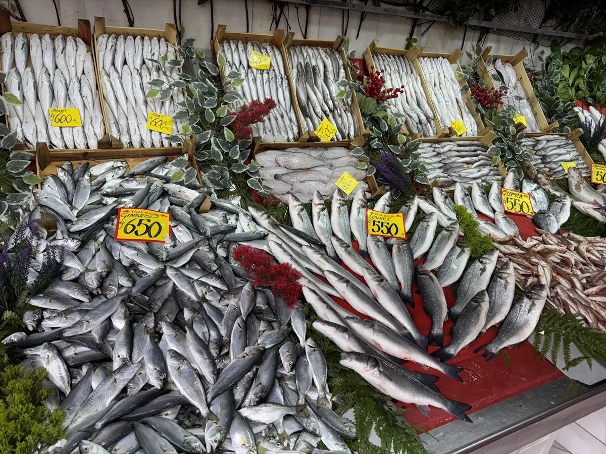 edirnede hamsi fiyati 300 tl mFhKg3f3.jpg