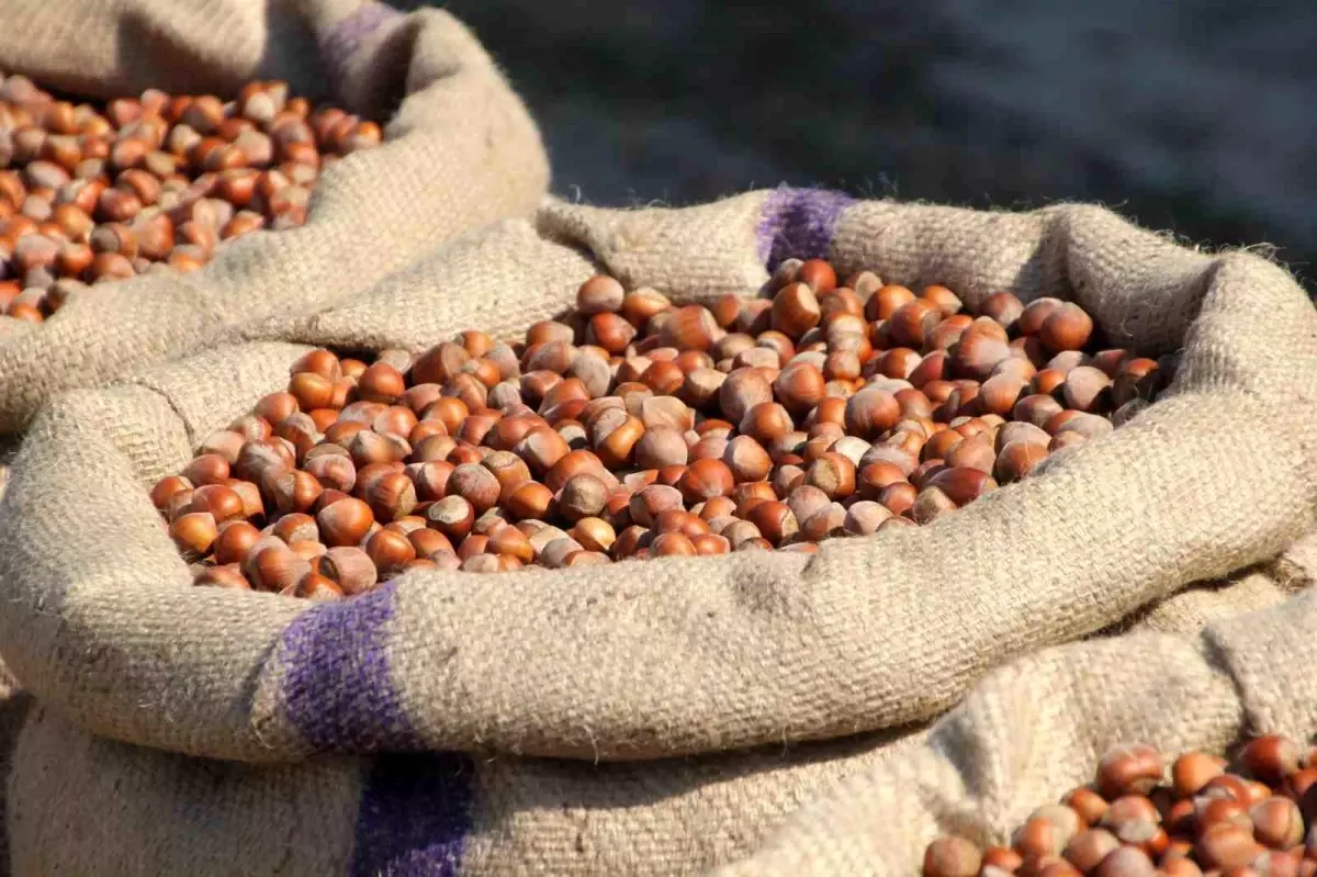 ferreronun findik manipulasyonu iddiasi BYz1KwGk.jpg