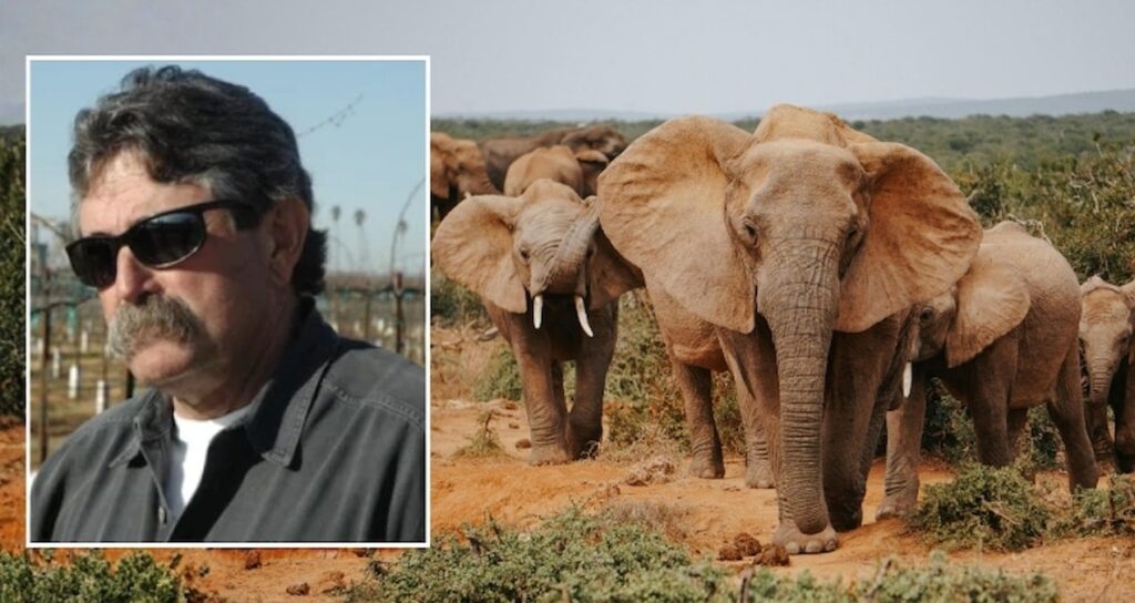 av-meraklisi-is-insani-fillerin-altinda-ezilerek-can-verdi-VDf2NVKV