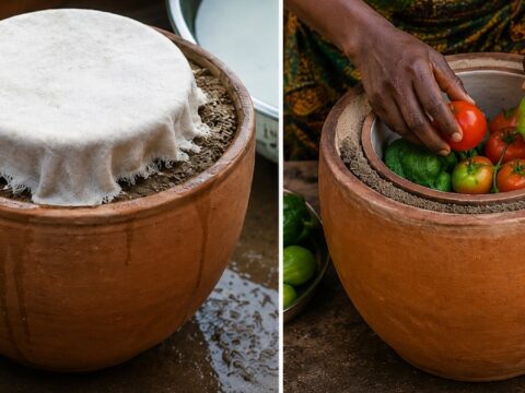 Elektriğe ihtiyaç duymayan buzdolabı icat etti: Sebzeleri haftalarca taze tutuyor