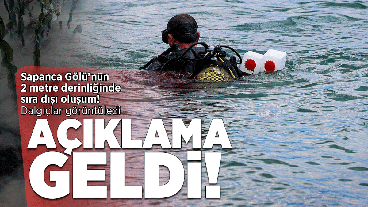Sapanca golunun 2 metre derinliginde sira disi olusum aciklama geldi DuD7cbnN